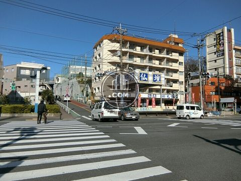 大通り