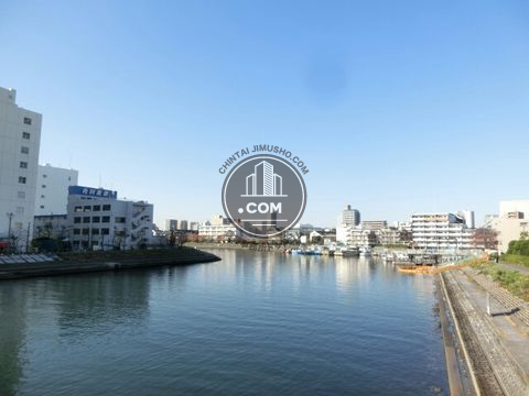 大通り