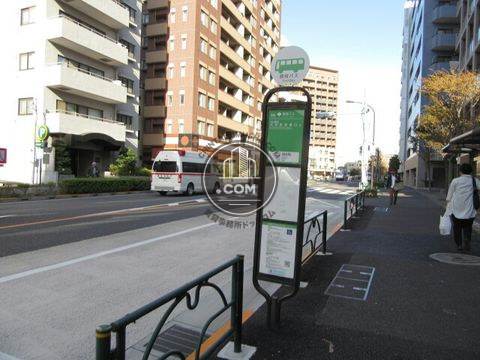 大通り