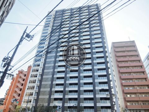 大通り