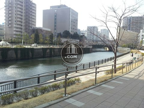 駅周辺