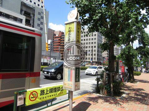 大通り