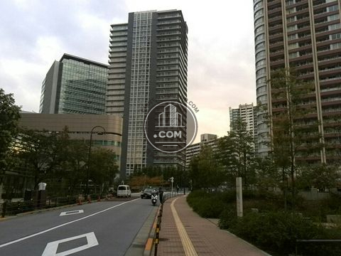大通り