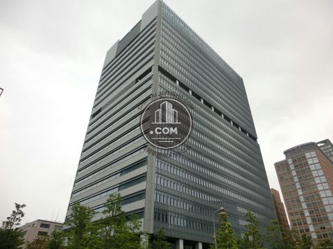 大通り