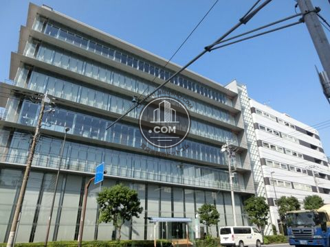大通り