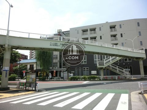 大通り