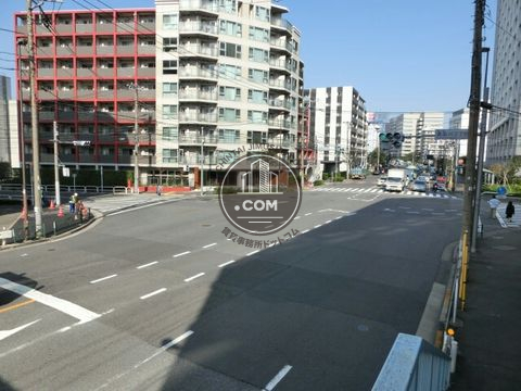 大通り