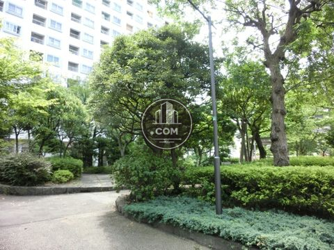 大通り