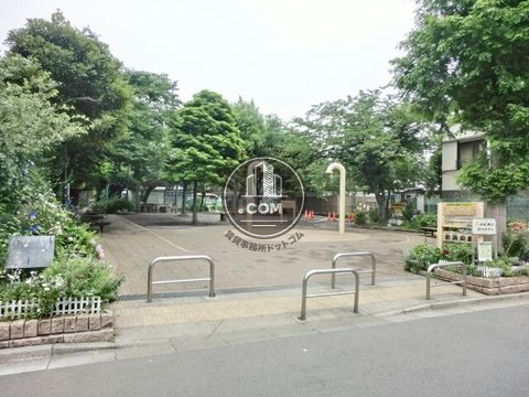 大通り