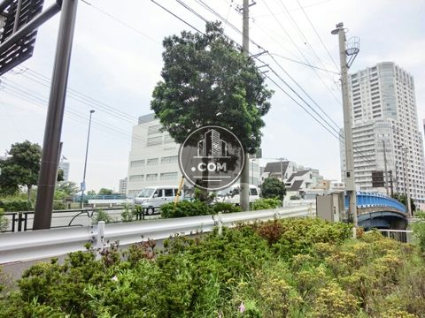 大通り