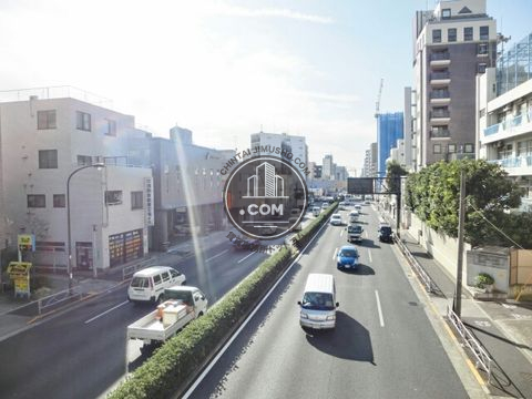 大通り