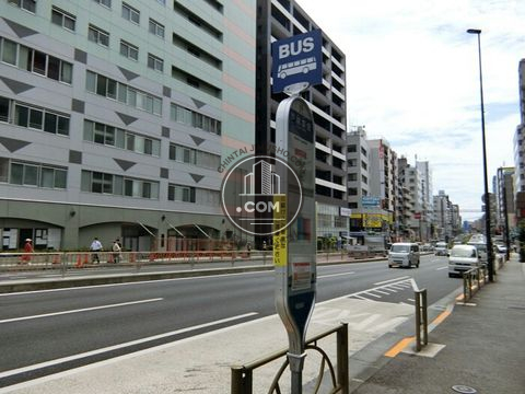 大通り