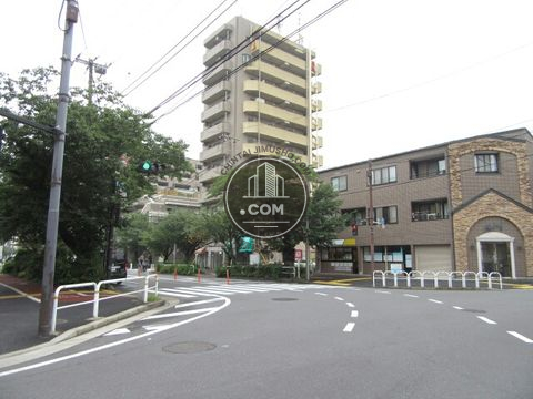 大通り