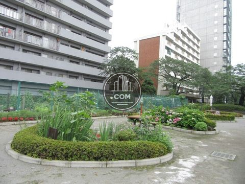 大通り