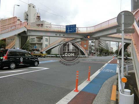 大通り