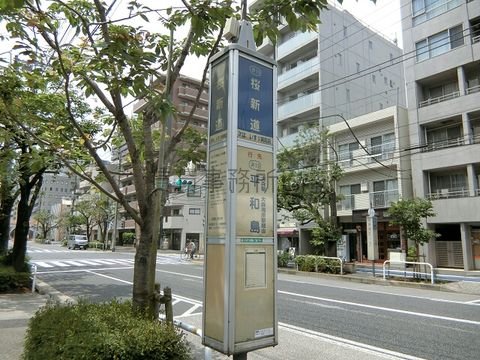 バス停 (桜新道)