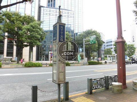 大通り