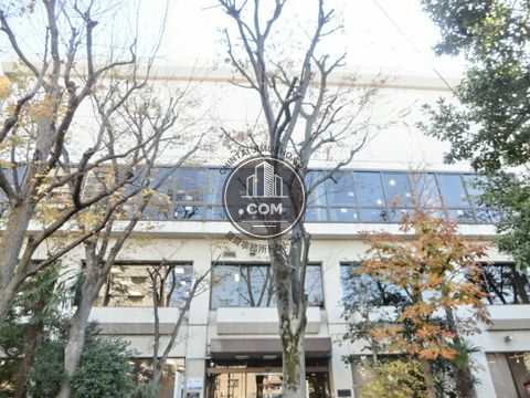 大通り