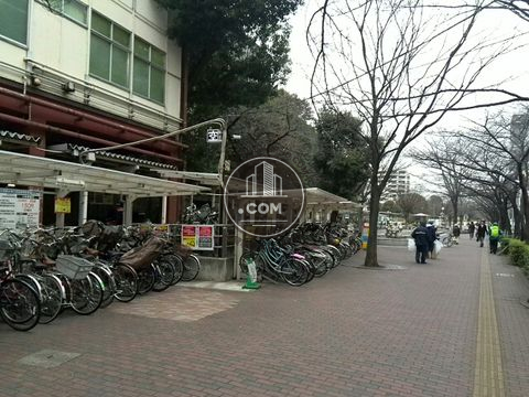 駅周辺
