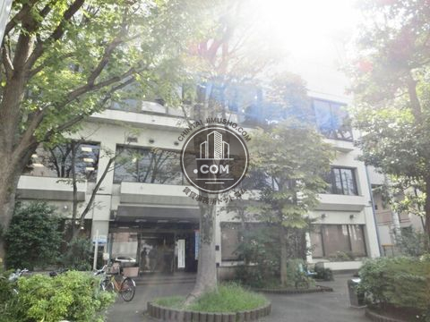 大通り