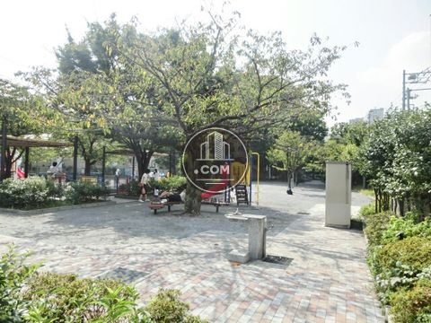 大通り