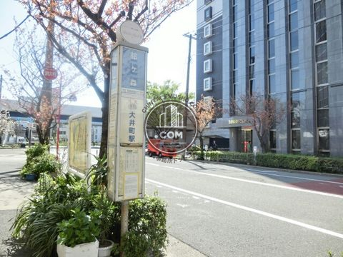 大通り