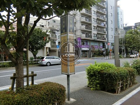 大通り
