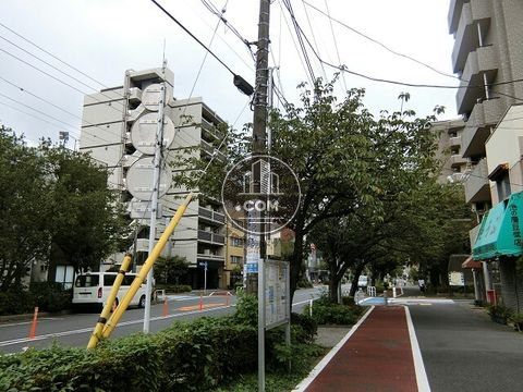 大通り