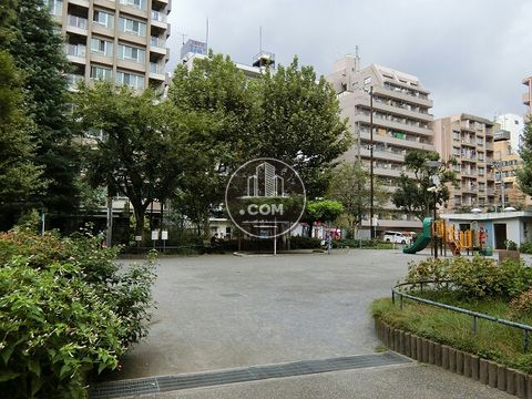 裏路地