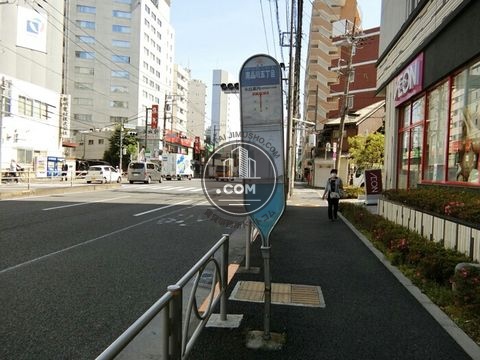 大通り
