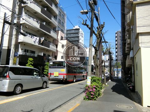 大通り
