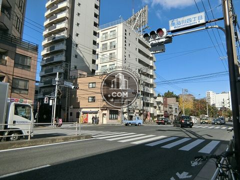 大通り