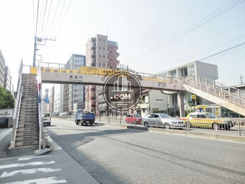 大通り