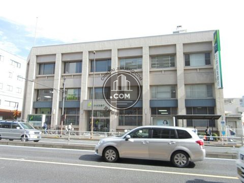 大通り