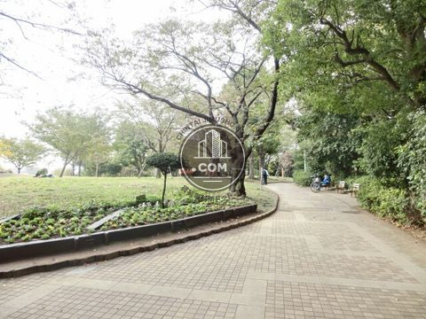 大通り