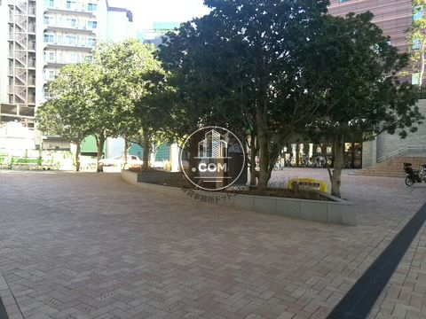 大通り