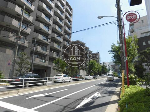 大通り