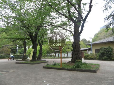 裏路地