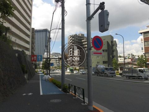 大通り