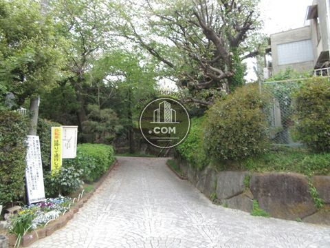 裏路地