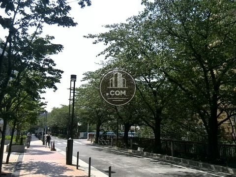 裏路地