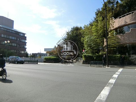 大通り