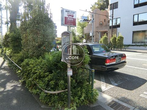 大通り