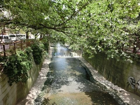 目黒川 大橋からの景観