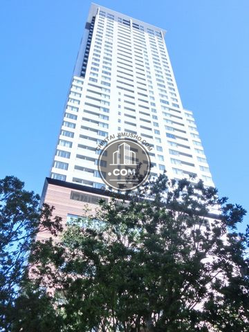 大通り