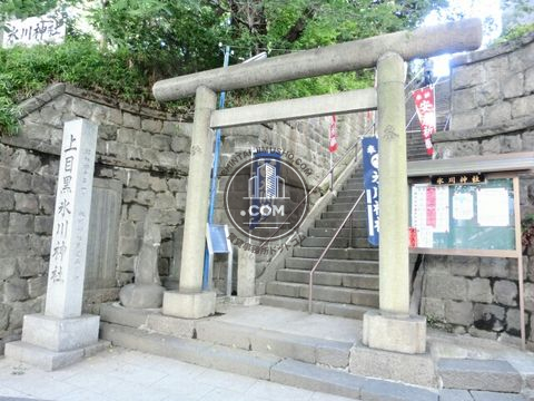 大通り