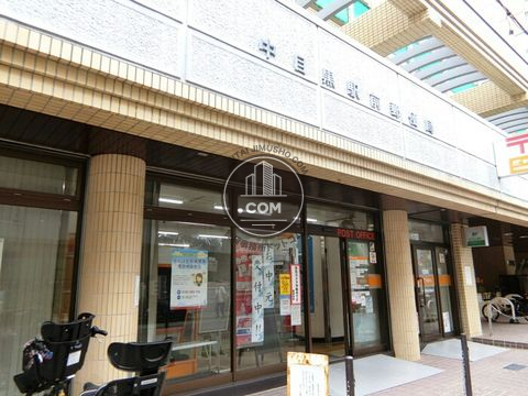大通り
