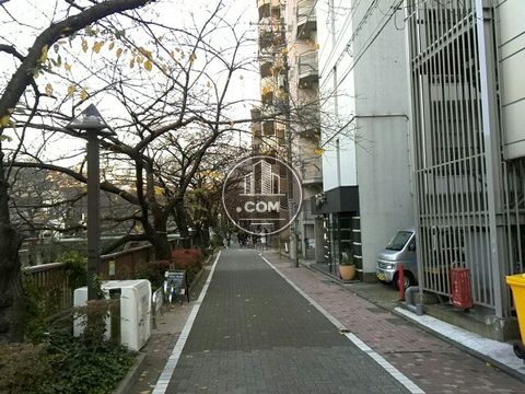 裏路地
