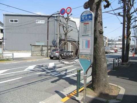大通り