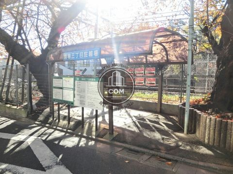 大通り